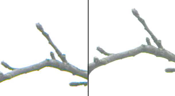 c300_25p_v_50i.png